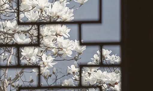 品牌洞察 - 浩华分享｜园林之城的延与革 · 苏州酒店市场数据洞察