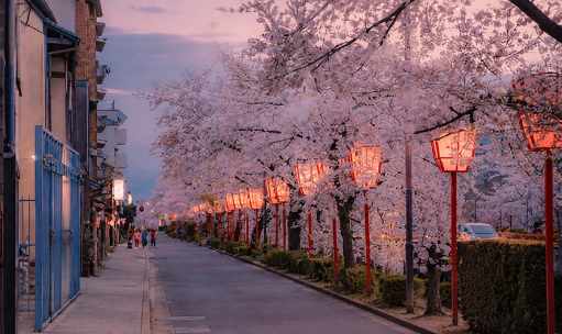 品牌洞察 - HOBrands品牌资讯｜《旅游强国建设十五五规划》印发；上海迪士尼官宣第三座主题酒店；LVMH拟独家投资HYROX；安缦高层任命调整